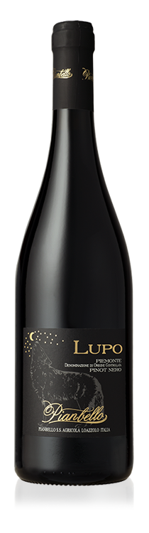 Lupo Piemonte DOC Pinot Nero